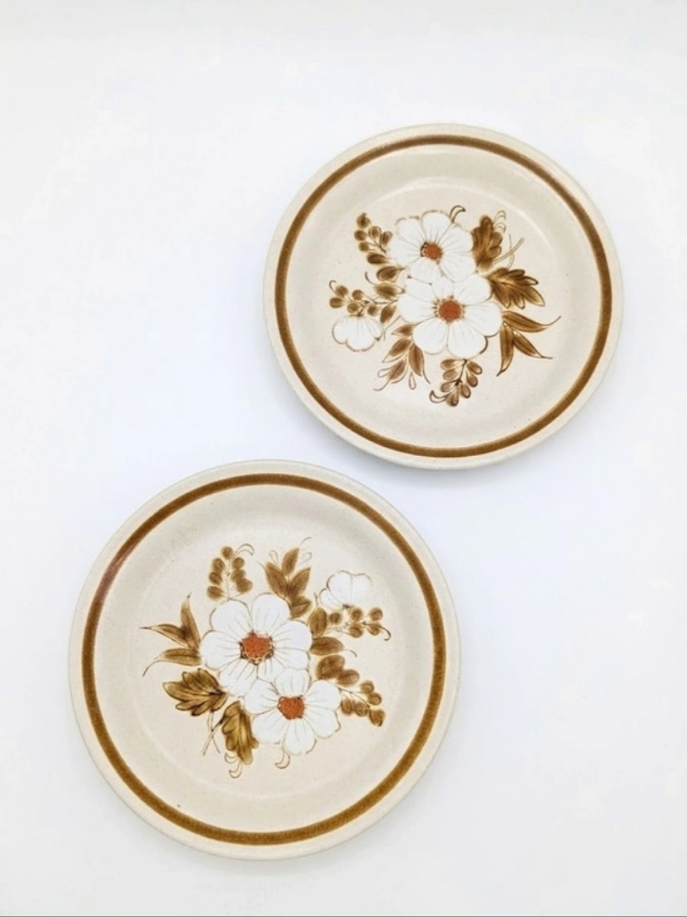 Vintage Mountain Wood Collection Dried Flowers Stoneware Salad Plates (Set of 2)
